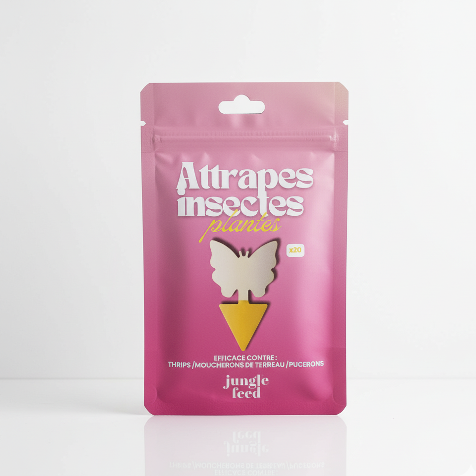 Attrape-Insectes (Pack de 20) - LOT DE 10