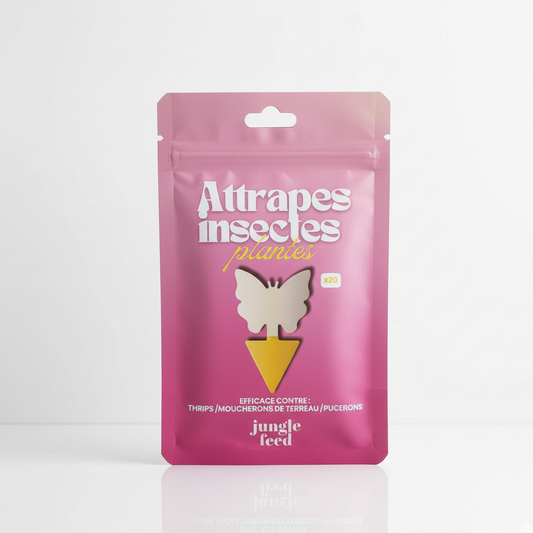 Attrape-Insectes (Pack de 20) - LOT DE 10