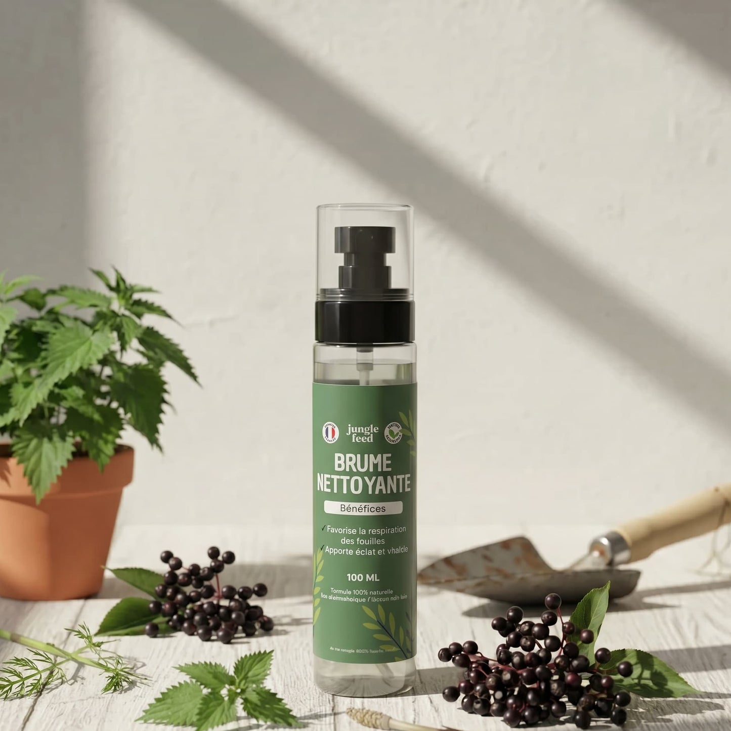 Brume Nettoyante 100ml - LOT DE 10