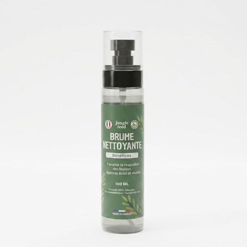 Brume Nettoyante 100ml - LOT DE 10