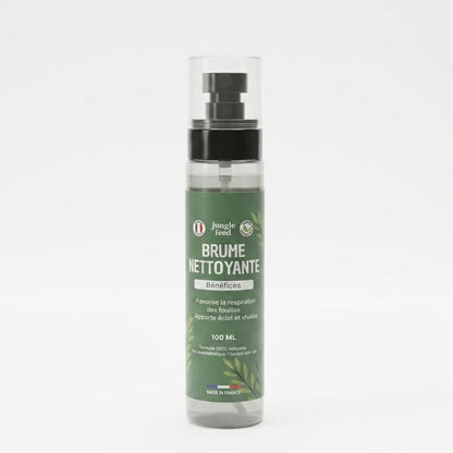 Brume Nettoyante 100ml - LOT DE 10
