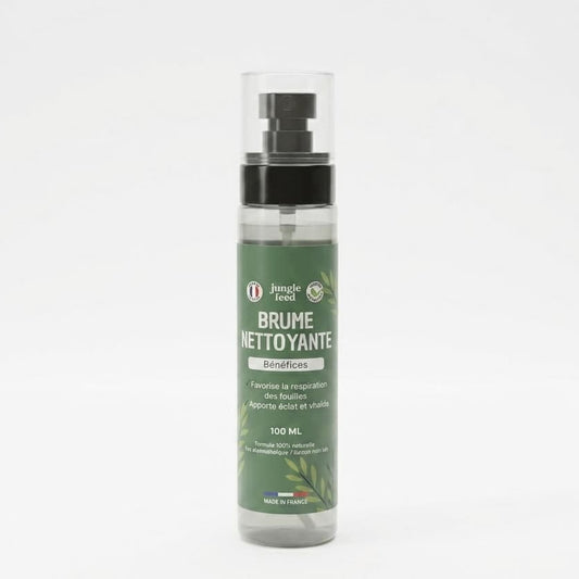 Brume Nettoyante 100ml - LOT DE 10