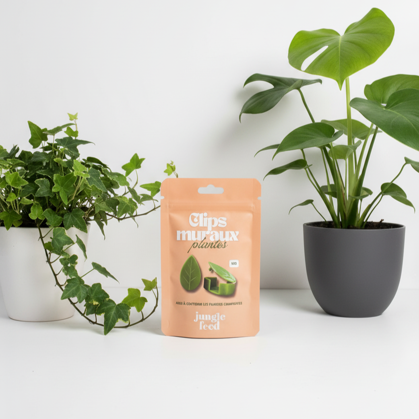 Sachet de Clips Muraux pour Plantes Grimpantes LOT DE  10 sachets
