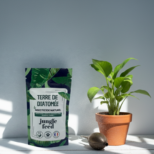Sac de terre de diatomée de qualité alimentaire, un soin naturel pour les plantes. Le packaging montre le produit prêt à être utilisé comme insecticide ou traitement préventif.