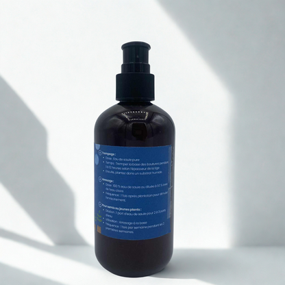 Produit de jardinage biologique : une bouteille de 250 ml d'eau de Saule pour l'enracinement des plantes.