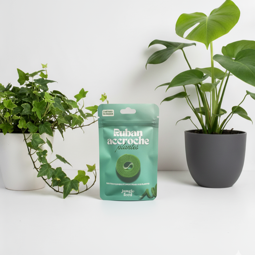 Ruban accroche plante 2m LOT DE 10