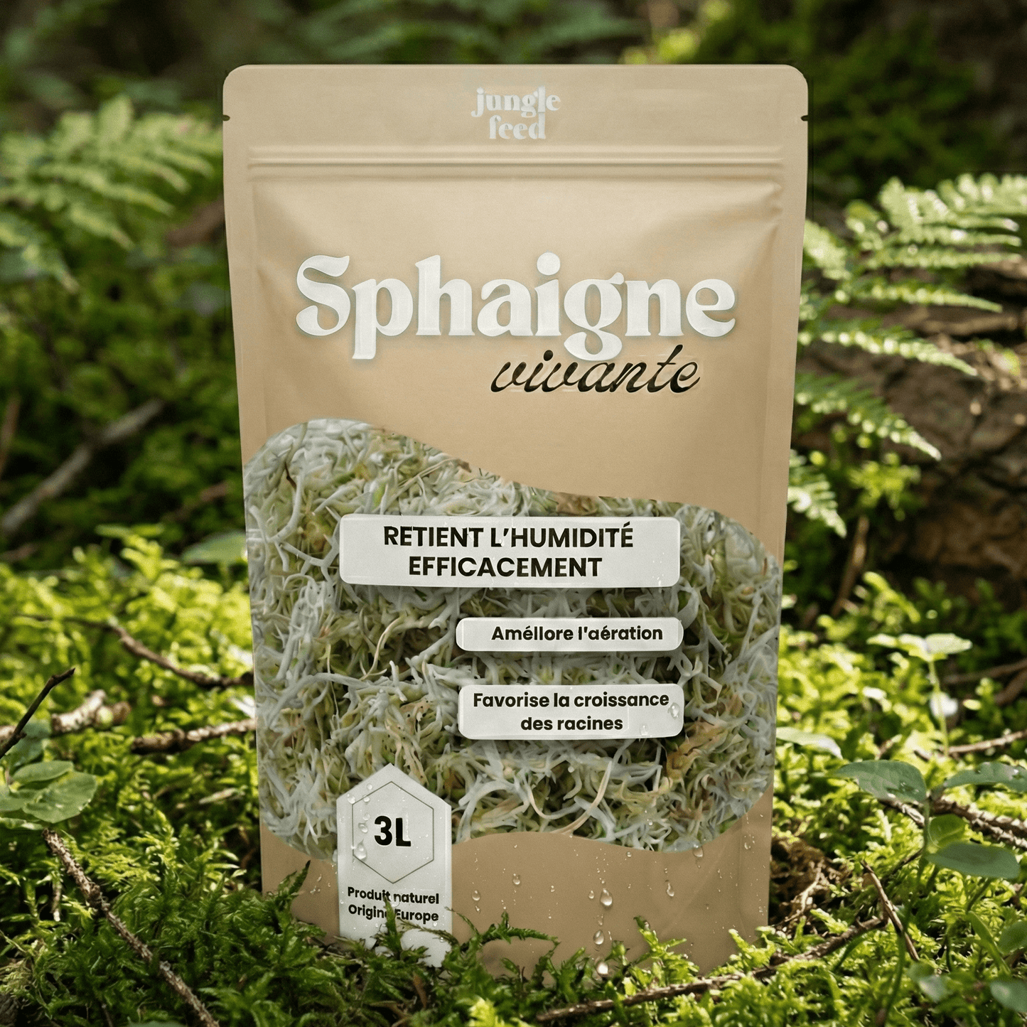 LOT DE 10 Sphaigne 3L