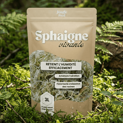 LOT DE 10 Sphaigne 3L