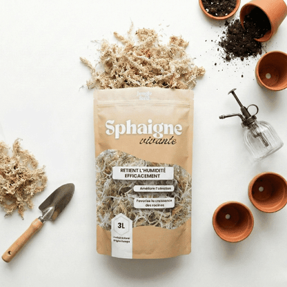 LOT DE 10 Sphaigne 3L