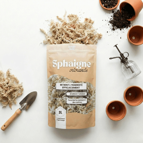 LOT DE 10 Sphaigne 3L